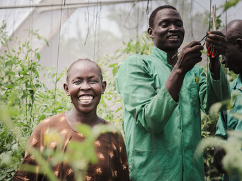 (c) Elisabeth Sellmeier