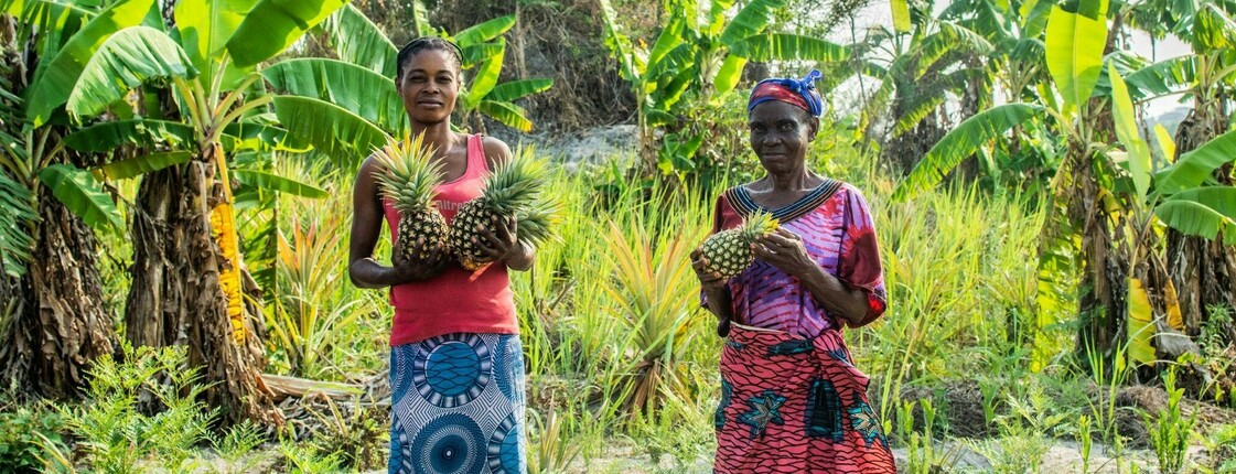 Zwei Frauen in traditioneller Kleidung stehen in einem tropischen Anbaugebiet in der DR Kongo und halten Ananas. Das Bild zeigt die Rolle von Frauen in der landwirtschaftlichen Entwicklung im Rahmen des RECAPTER-Projekts.