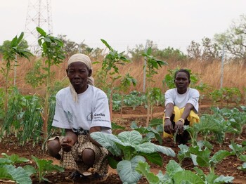 zwei südsudanesische Frauen hocken in einem Gemüsefeld