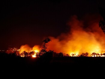 Es ist Nacht, man sieht loderndes Feuer und Rauchwolken über einem Wald. Der Himmel ist schwarz.