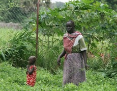 Afrikanische Frau mit Kind bei der Arbeit am Feld